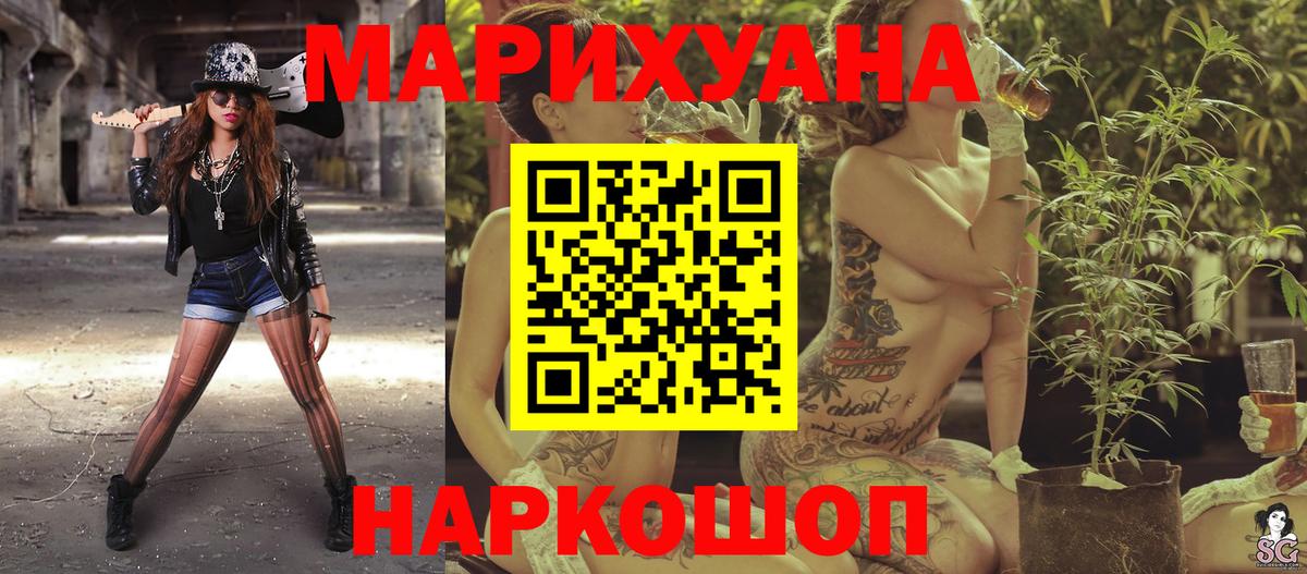 Канабис сатива Гай